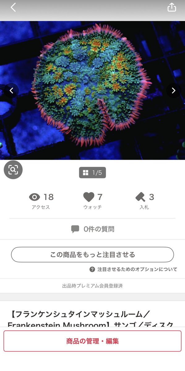 よつばのサンゴ tweet media
