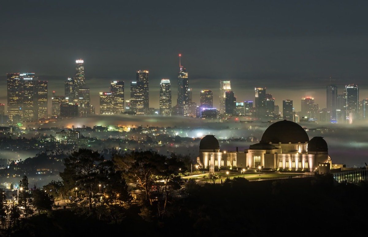 Brandon Yoshizawa tweet media