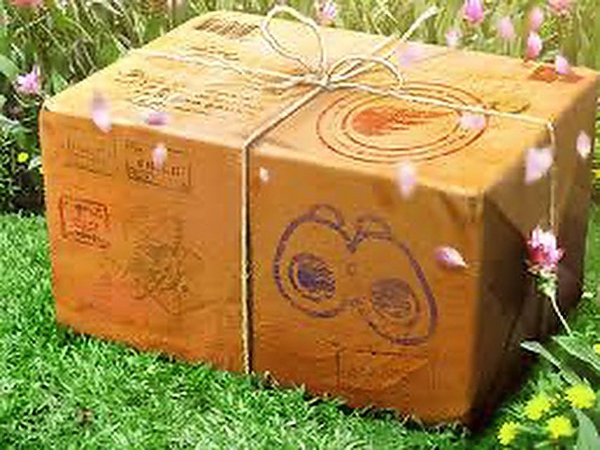 FangX Games tweet media