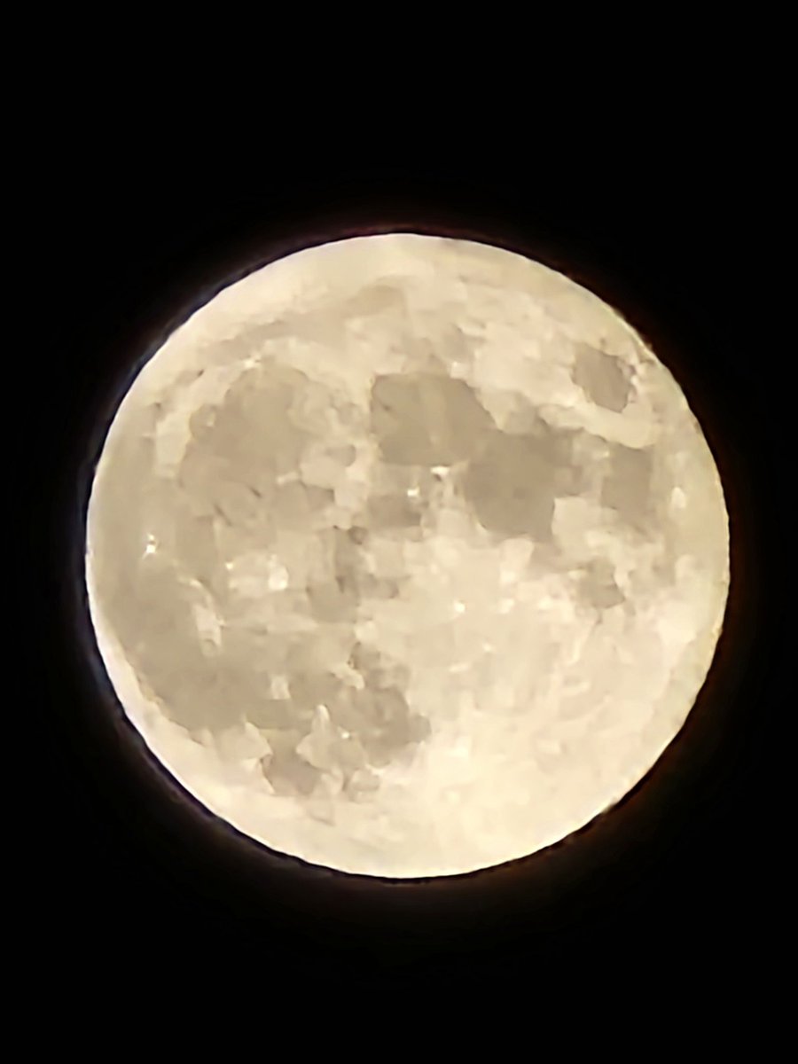 SHOW-ISM（速水奨＆スタッフ） tweet media