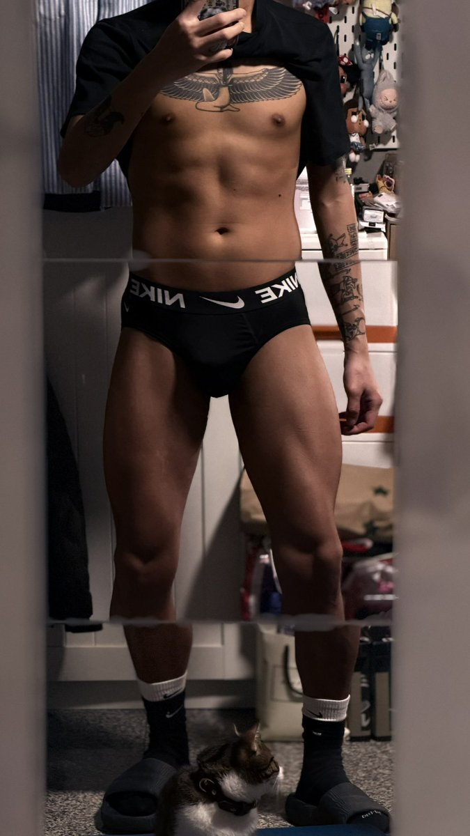 現代牧羊犬 tweet media