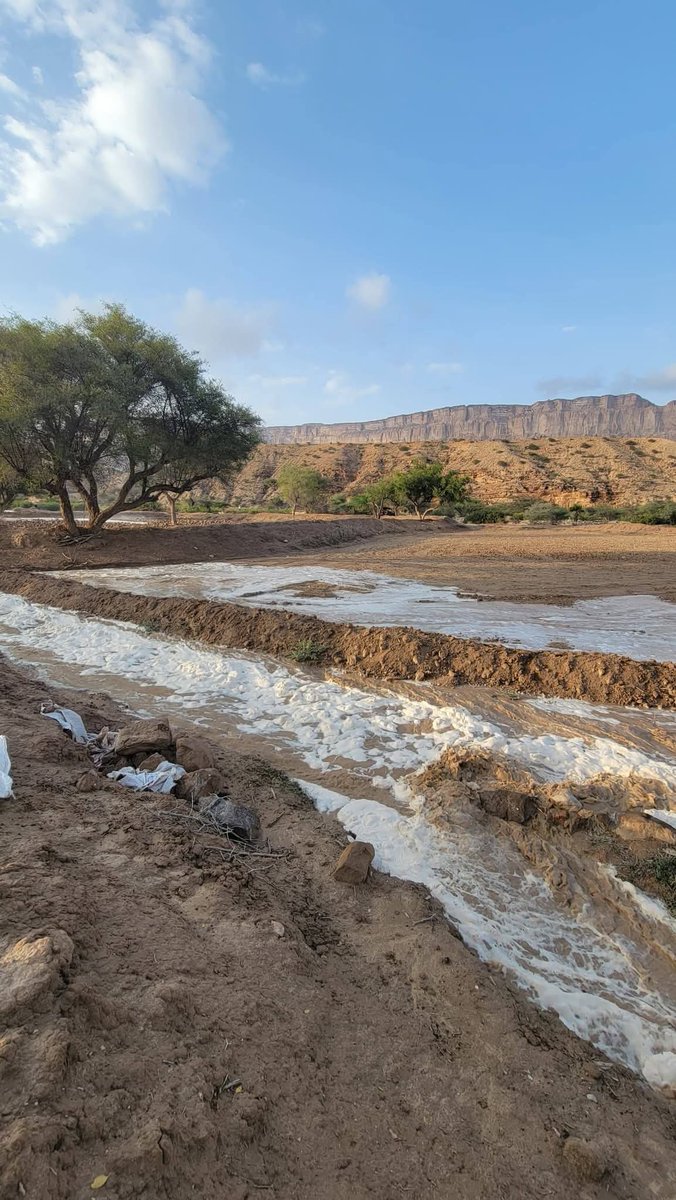 طقس حضرموت tweet media