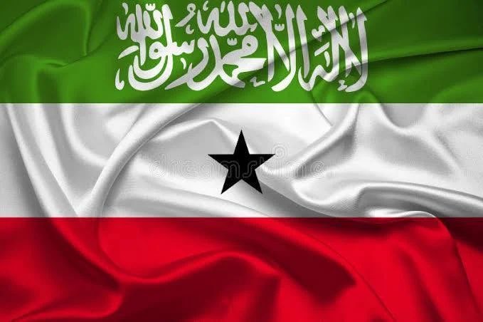 REPUBLIC OF SOMALILAND tweet media
