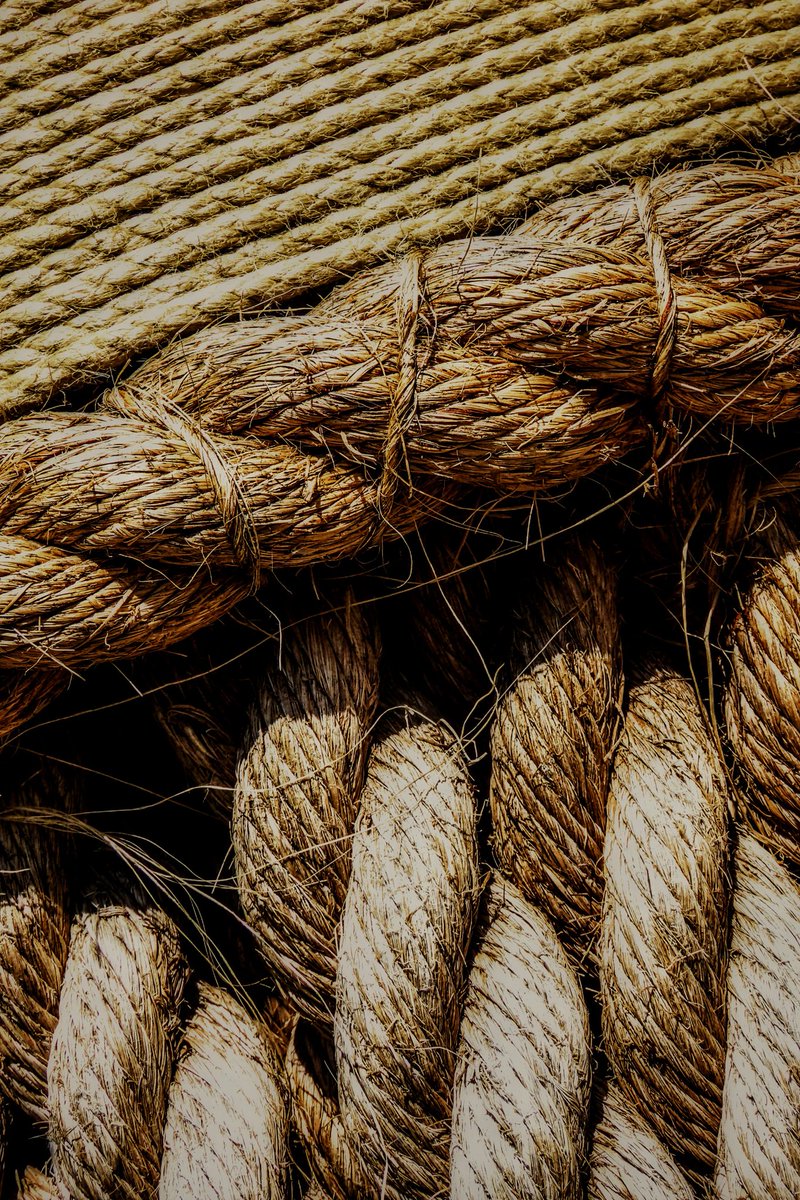 chrisbu03352910's tweet image. #PMJWeeklyChallenge
@pmj_photos 
#Layers
Threads
📸