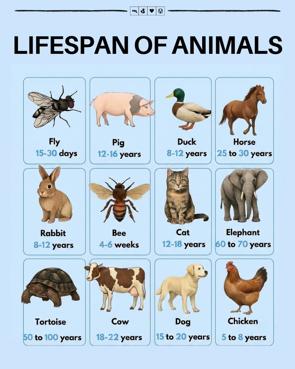 Plant Based News tweet media