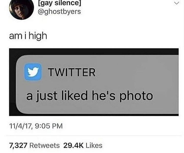 dinosaur tweet media