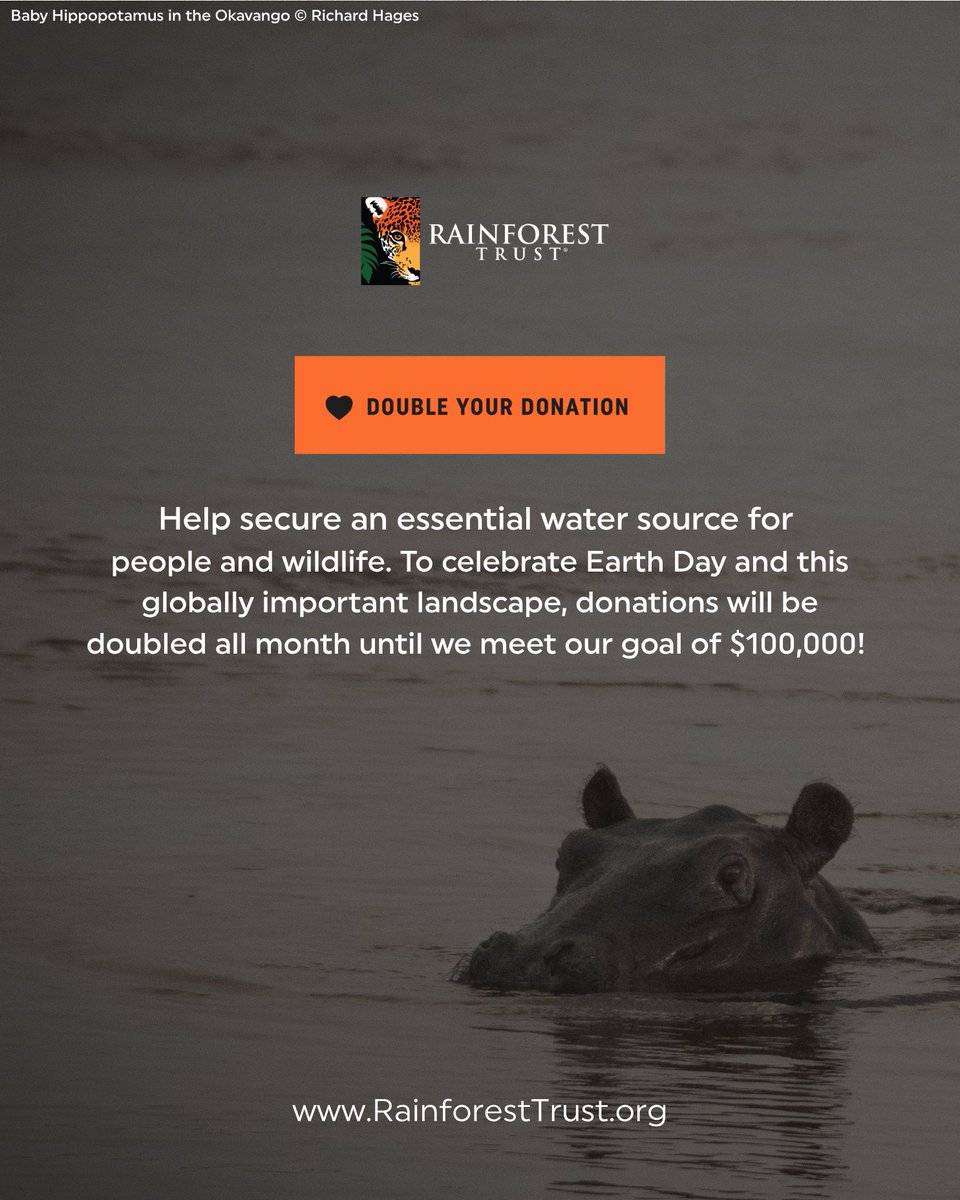 Rainforest Trust tweet media