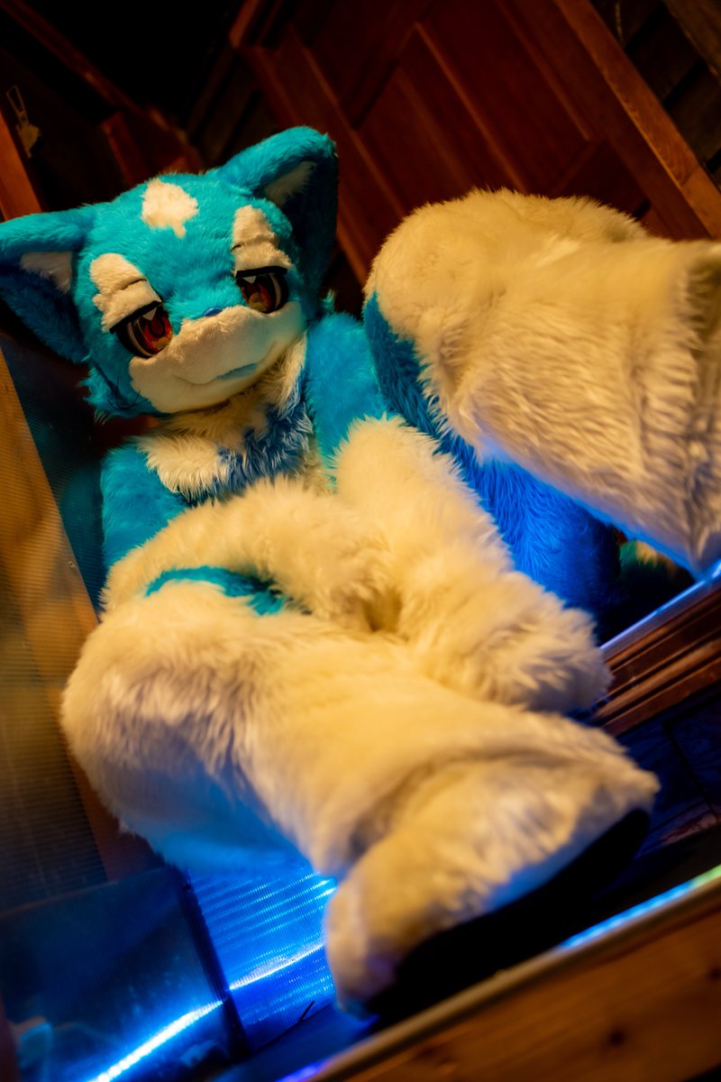 ボラーレ tweet media