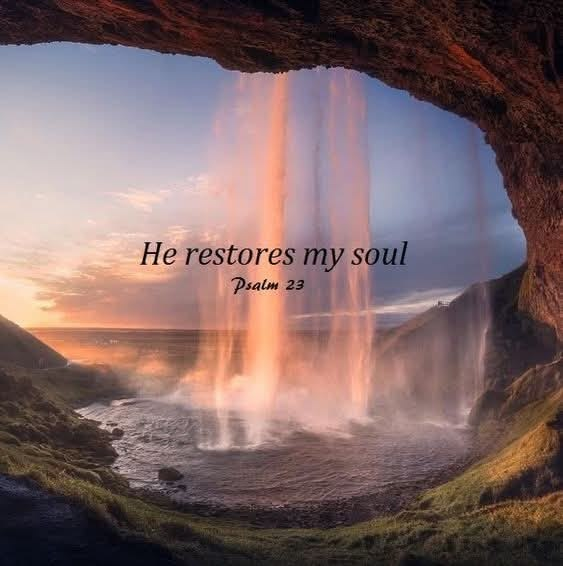 Michelle tweet media