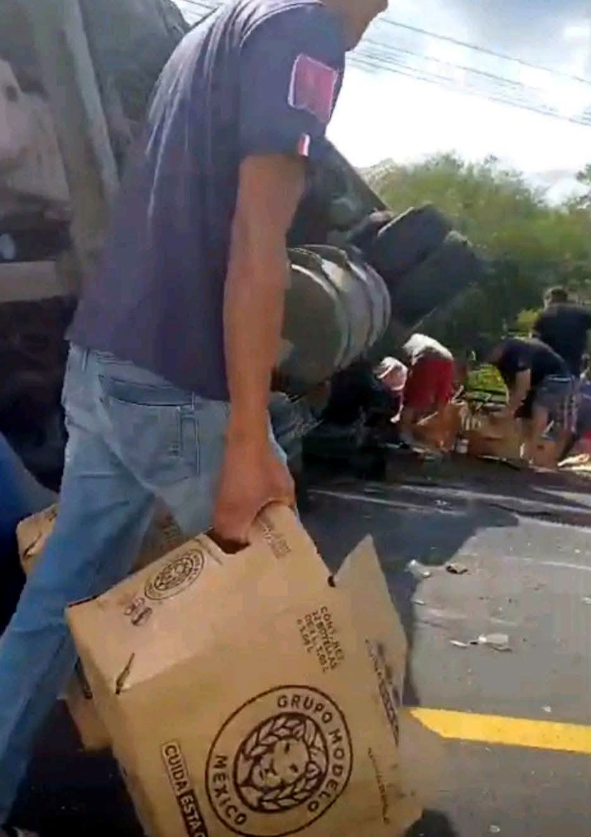 Eco_1_LVM tweet media