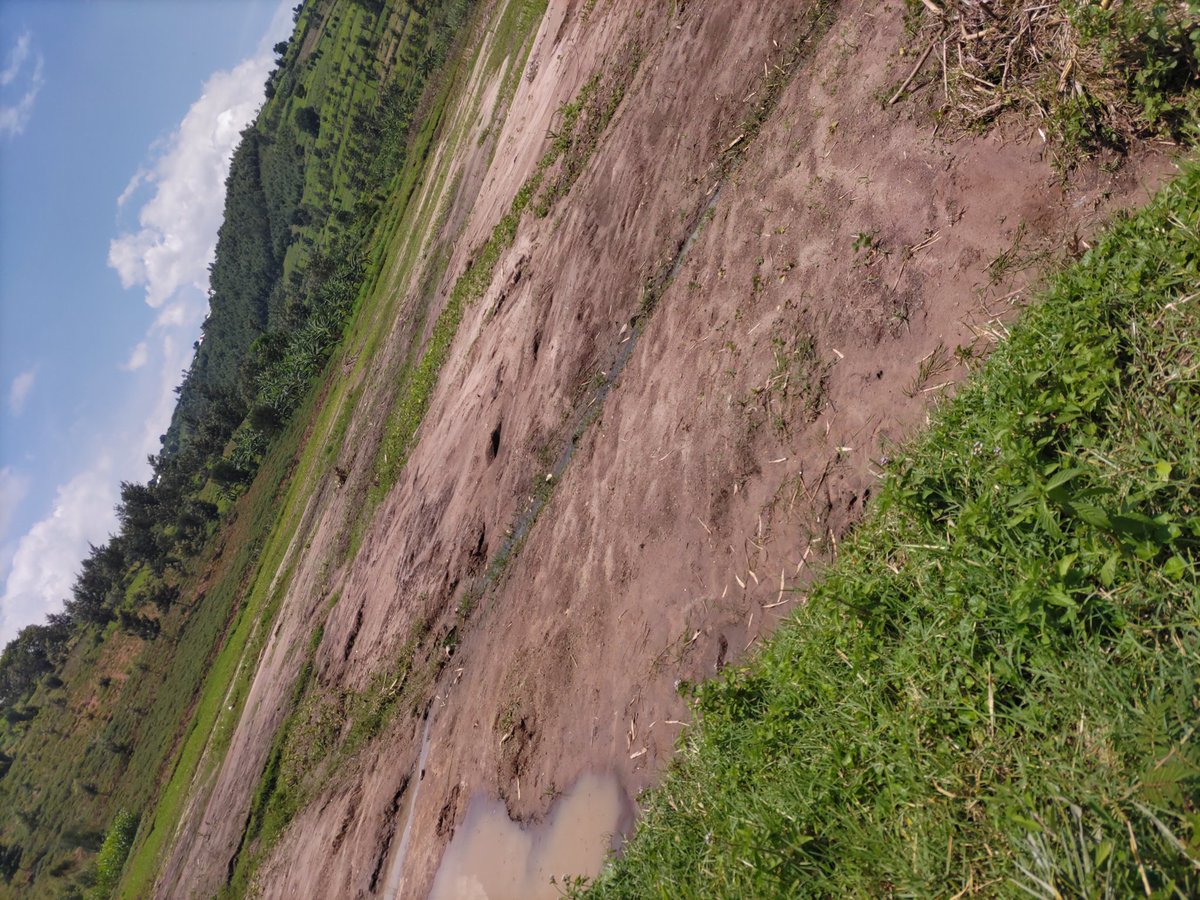 One of biggest issue we have in Agriculture is Soil erosion caused by in predicted rainfall