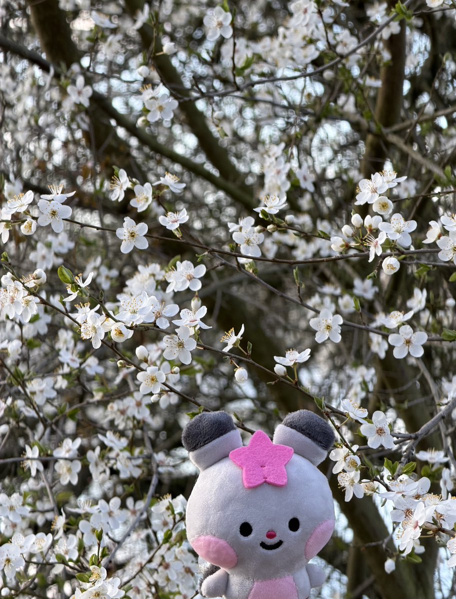 it's phili ⁷ 🍮🦕 tweet media