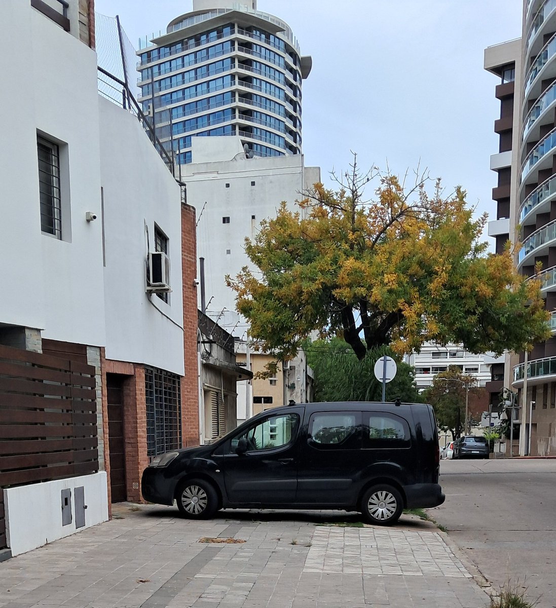 Rodrigator ☢ tweet media