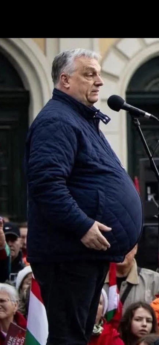 Libby Fella 🇫🇮 tweet media