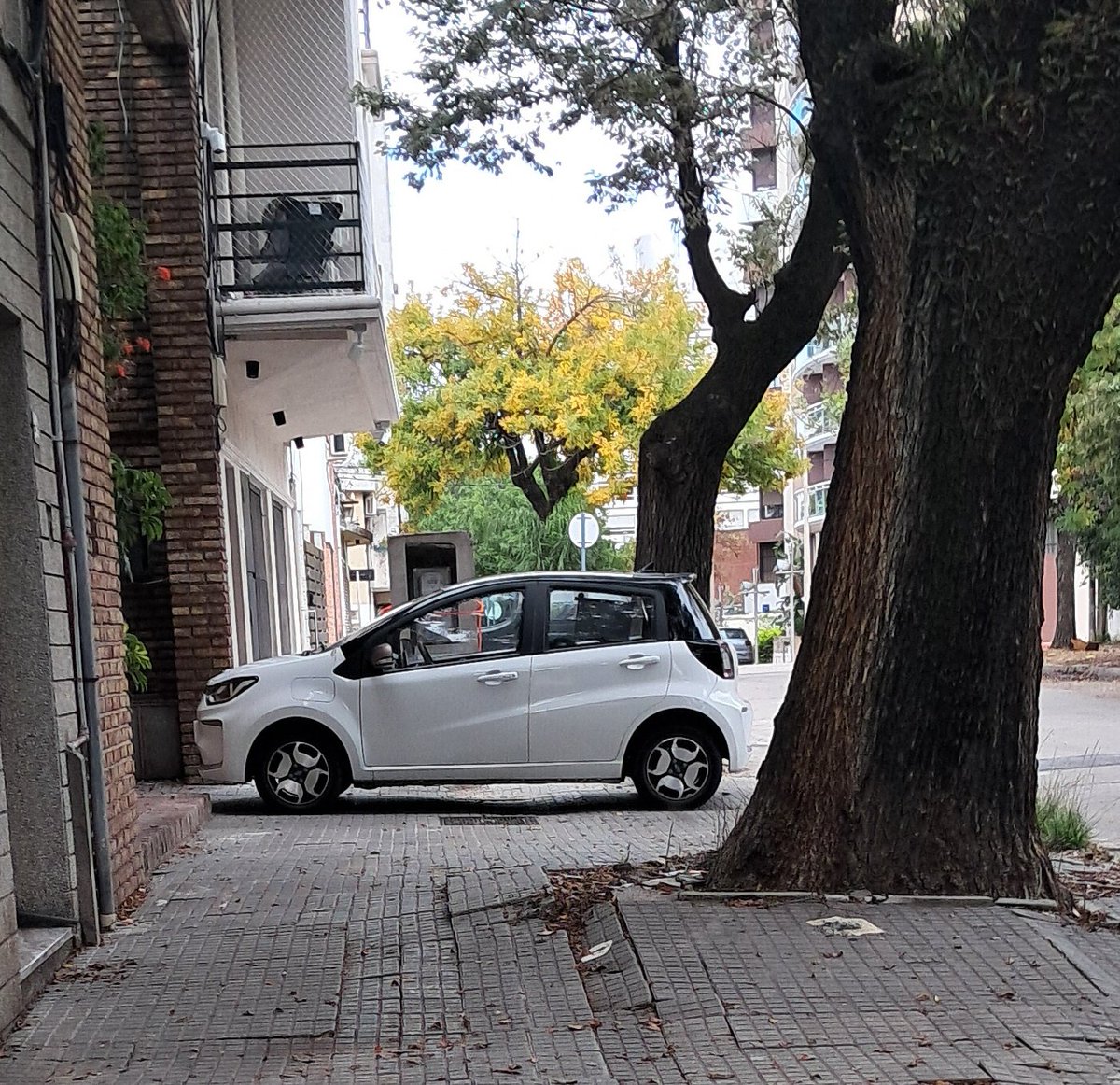 Rodrigator ☢ tweet media