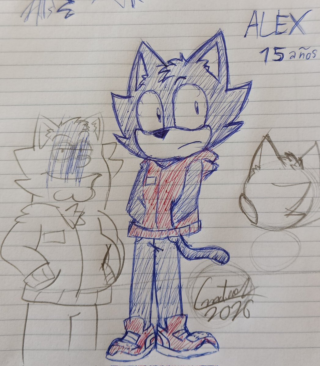 Timoteito tweet media