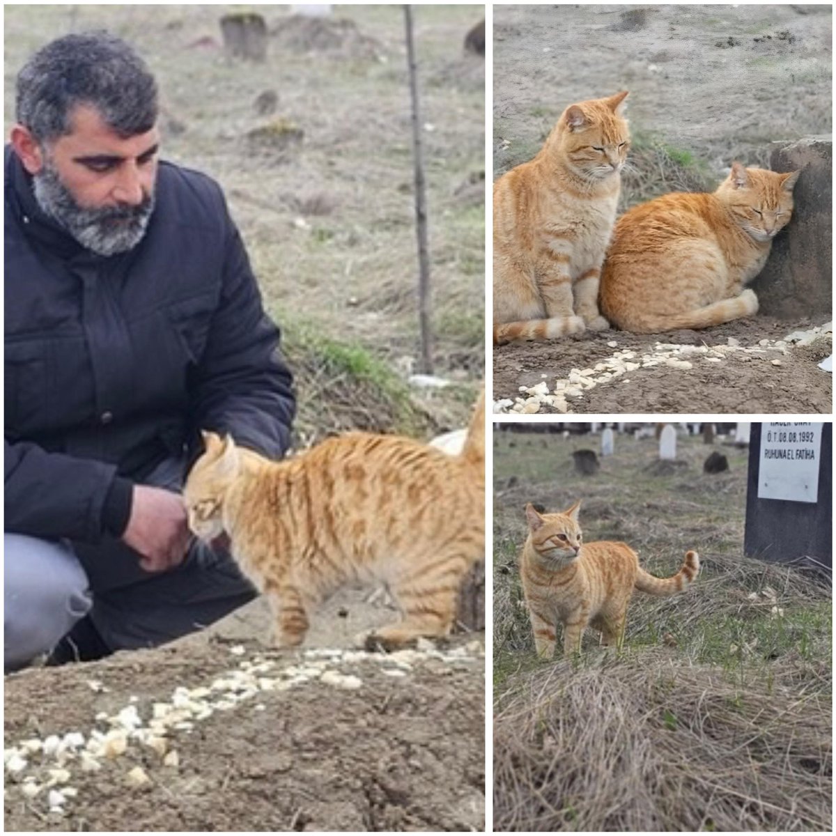 🎙️ Muhbir tweet media