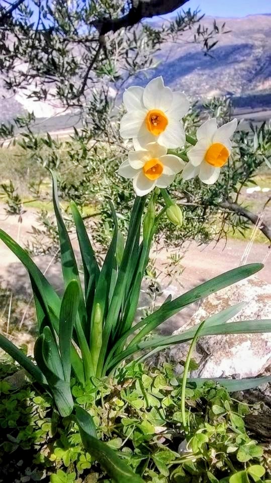 Crystalik ⭐️ tweet media