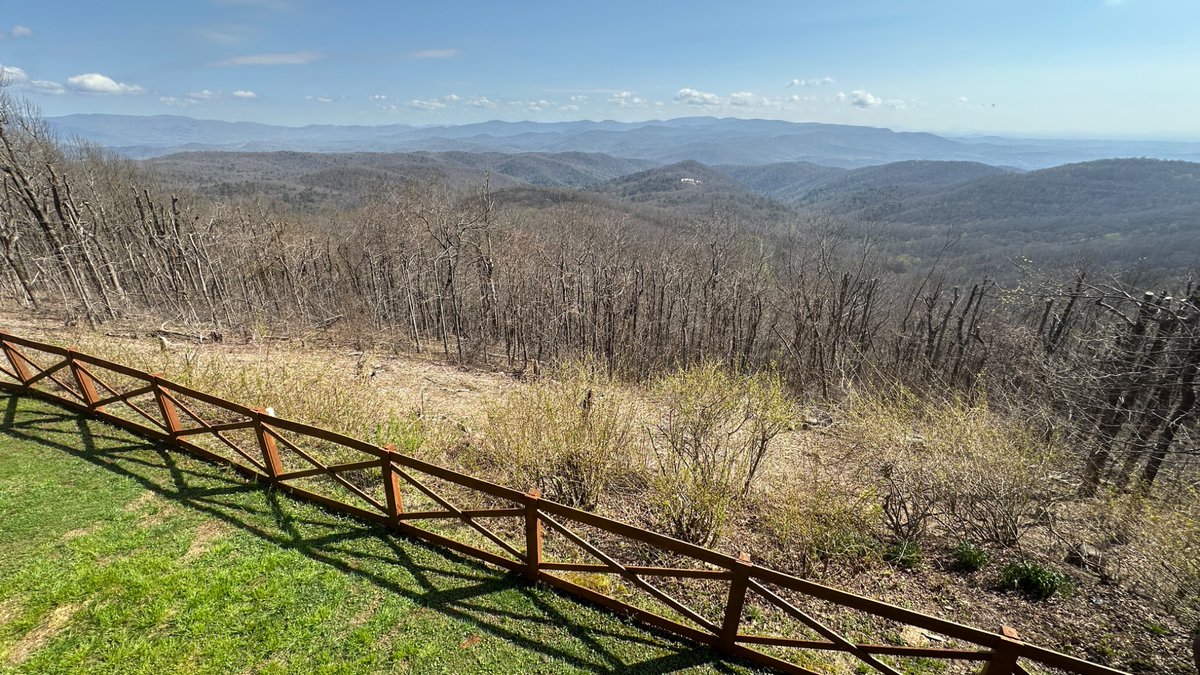 ThinkOfDave tweet media