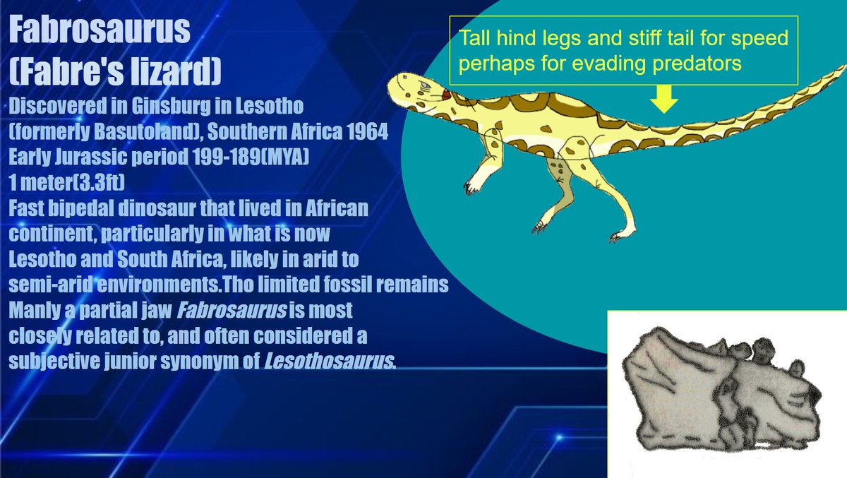 🦴 Kinge Tatsuo 🔍【TZN】Paleontologist VTuber tweet media