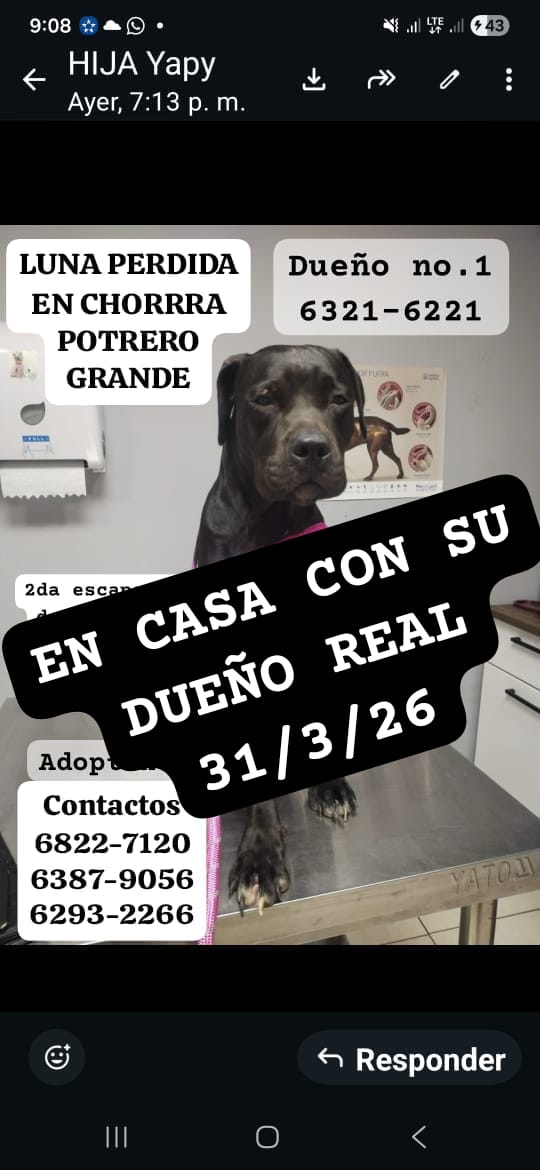 Nacelys González tweet media