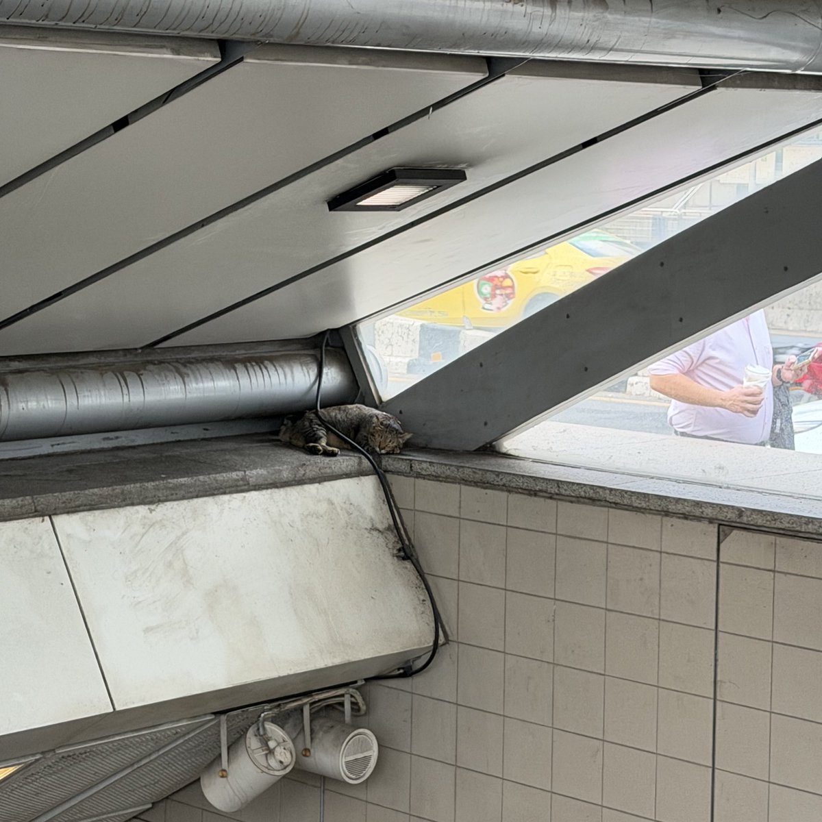 tothemoonandbaek tweet media