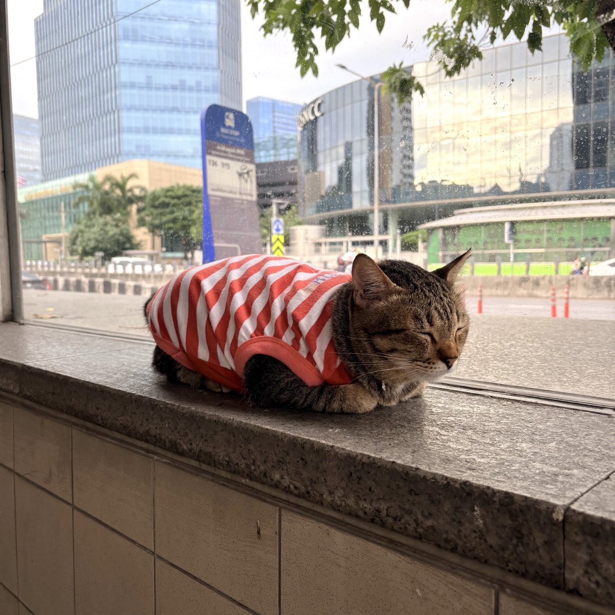 tothemoonandbaek tweet media