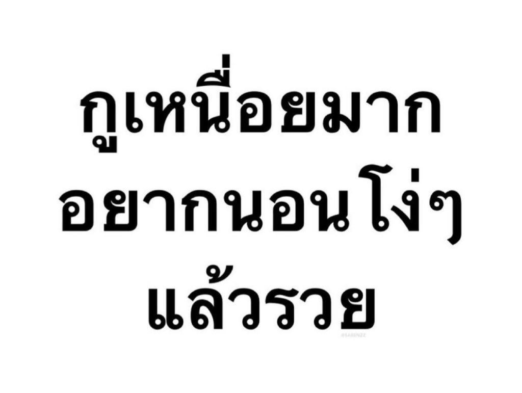ช่างแม่ง🐰🏳️‍🌈 tweet media