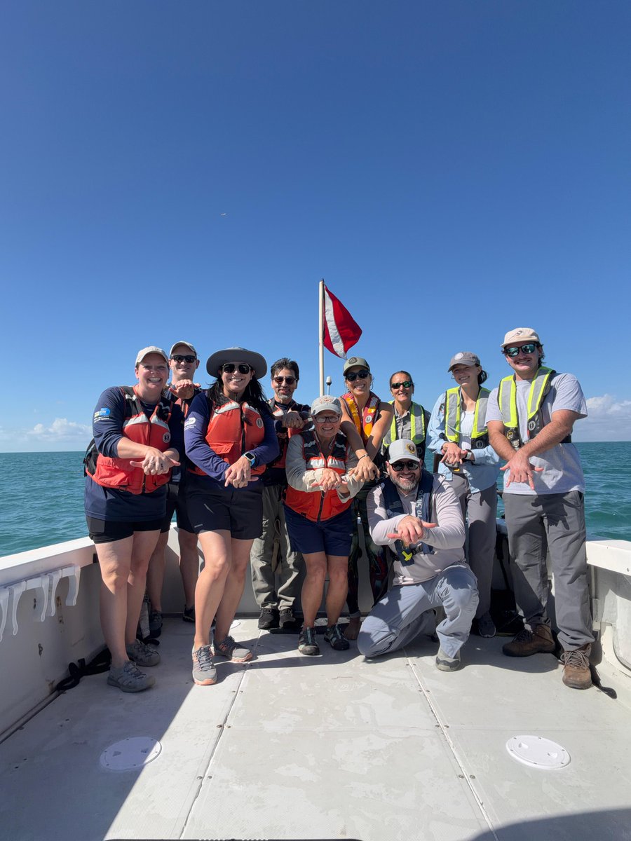 NOAA Marine Debris Program tweet media