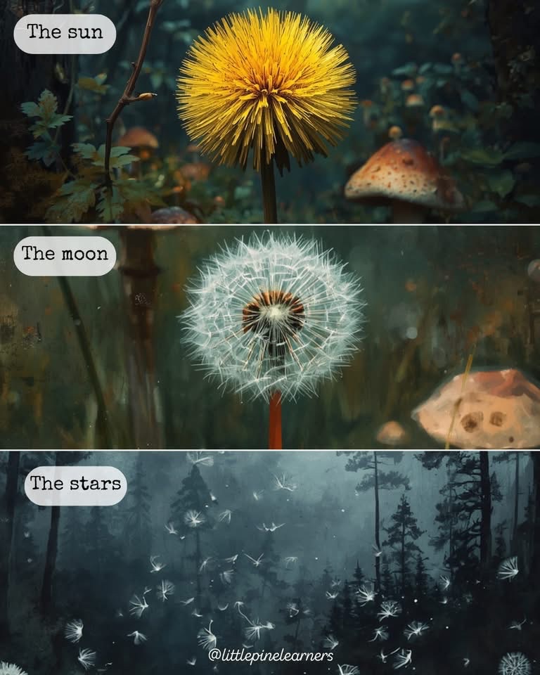 🧬Maxpein🧬 tweet media