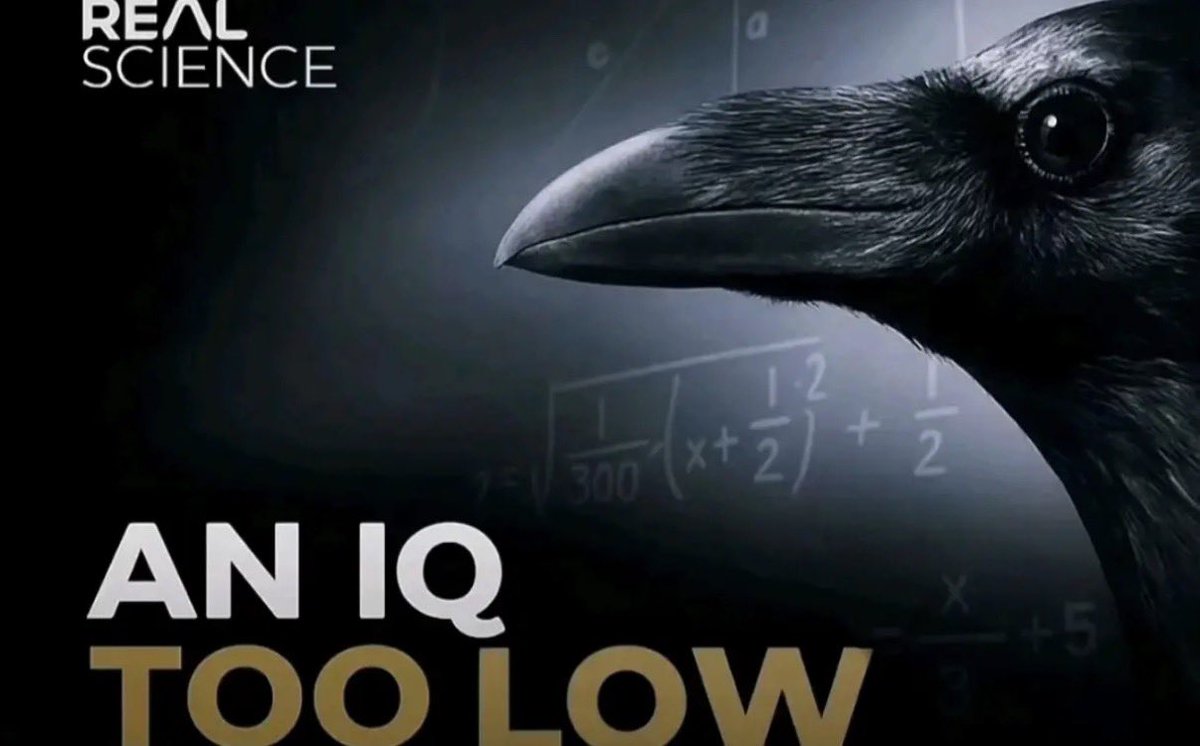 Unlawful tweet media