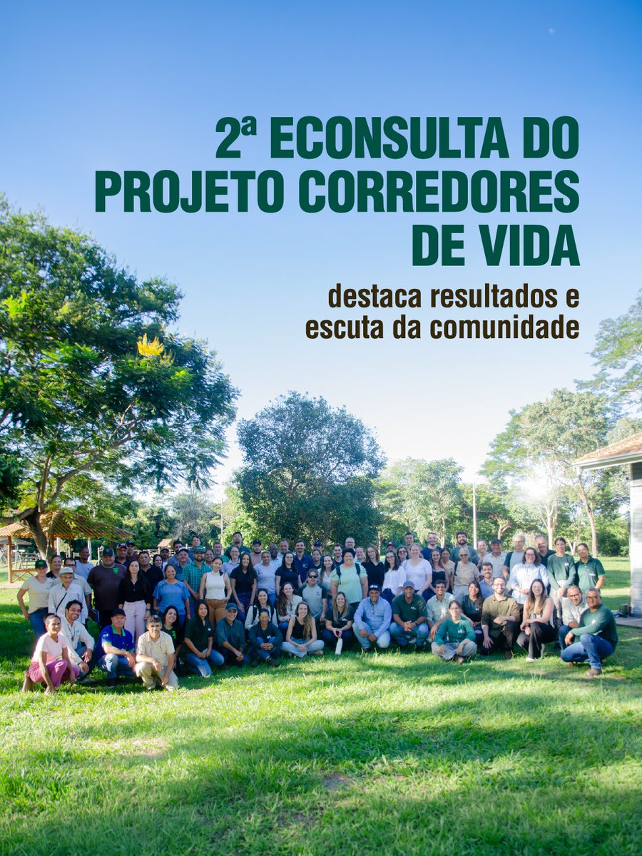 IPÊ tweet media