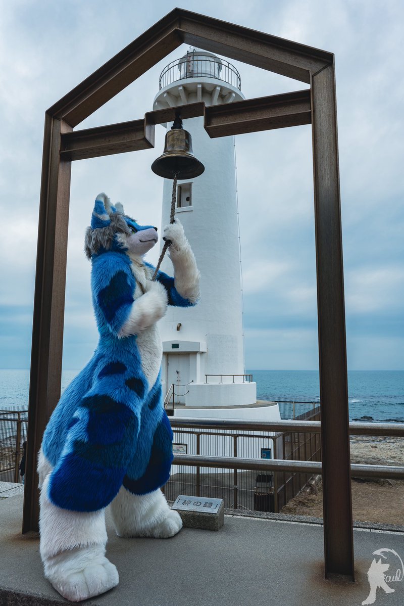 ルビエル tweet media