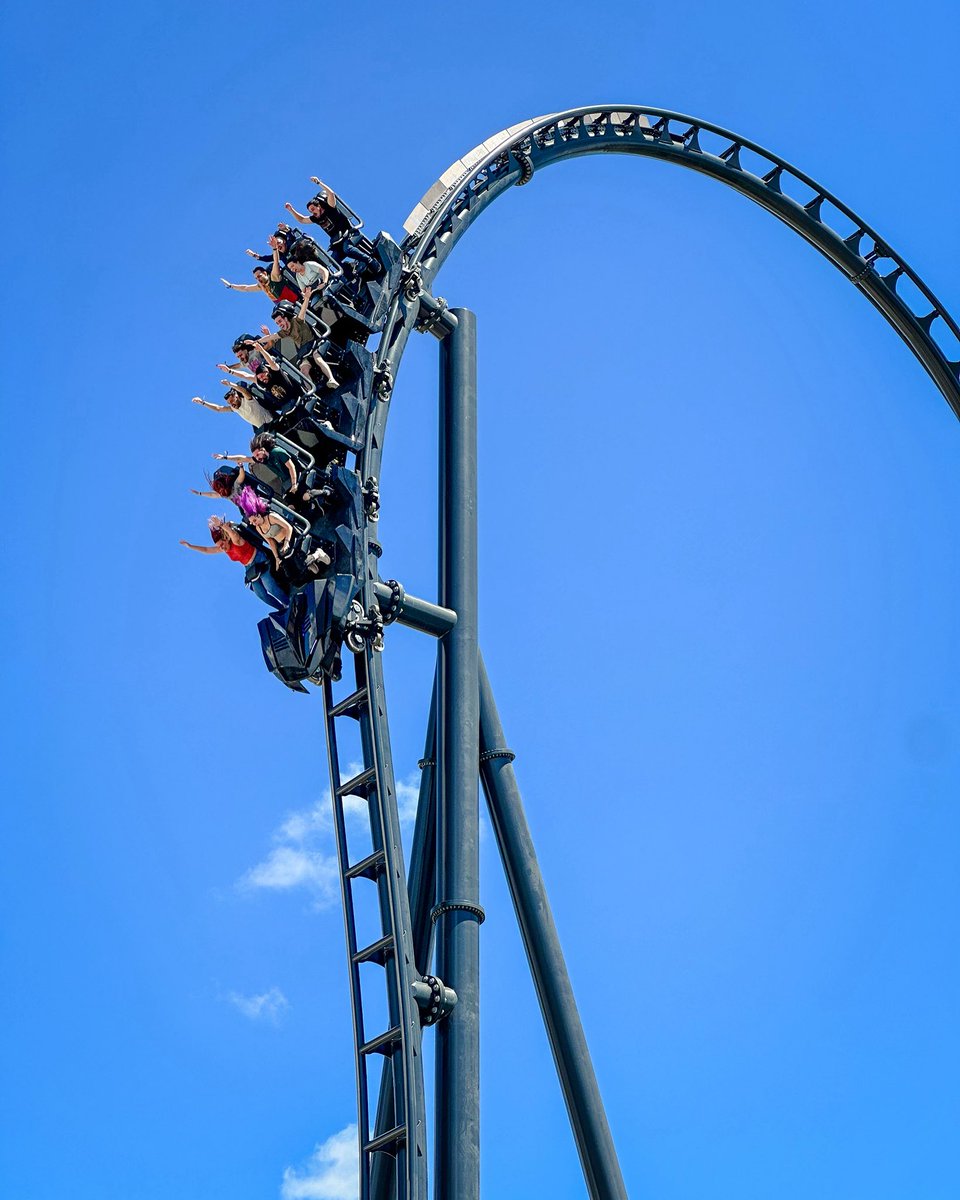 Alba Miau🏳️‍🌈 tweet media