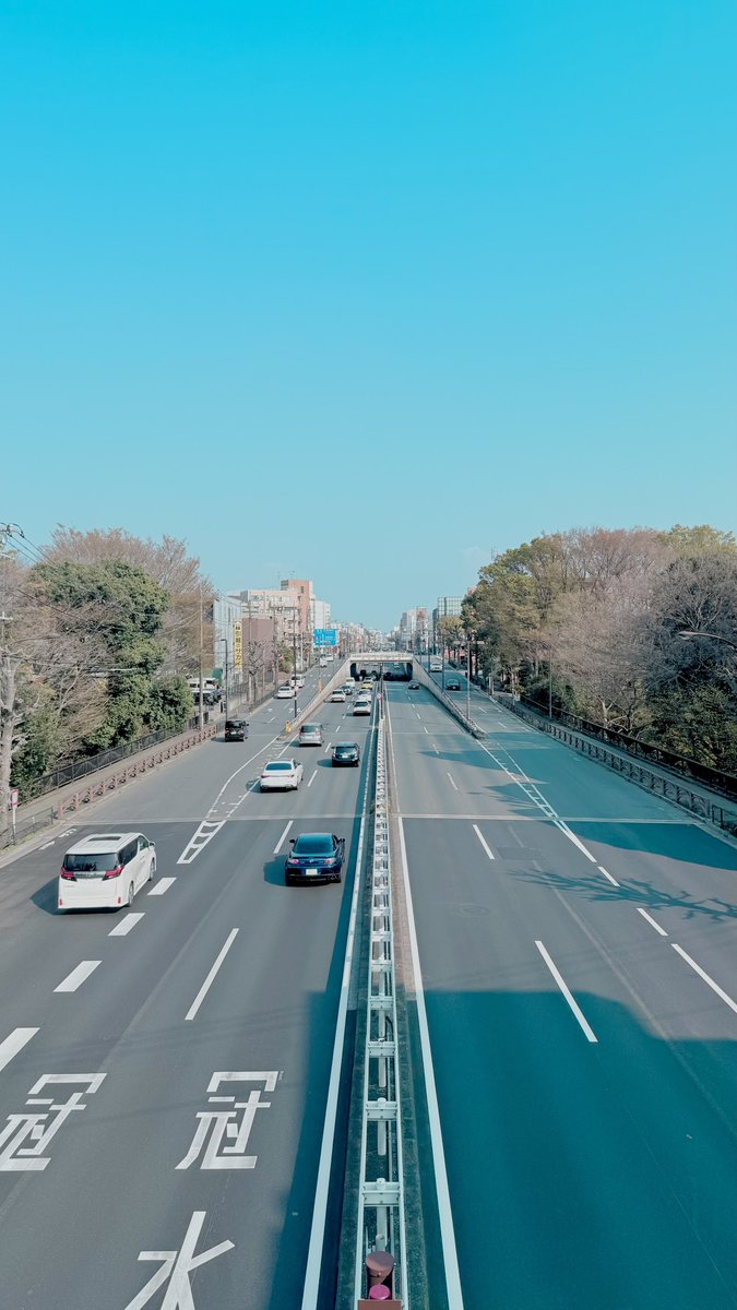 4rkm / しろくま tweet media