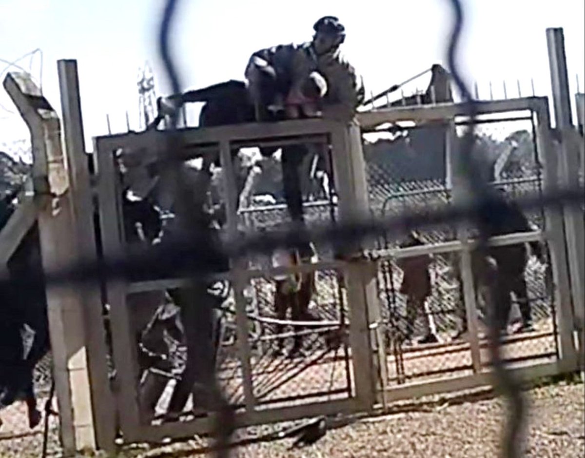 S0M0S L0S BARRI0S🇳🇱 tweet media