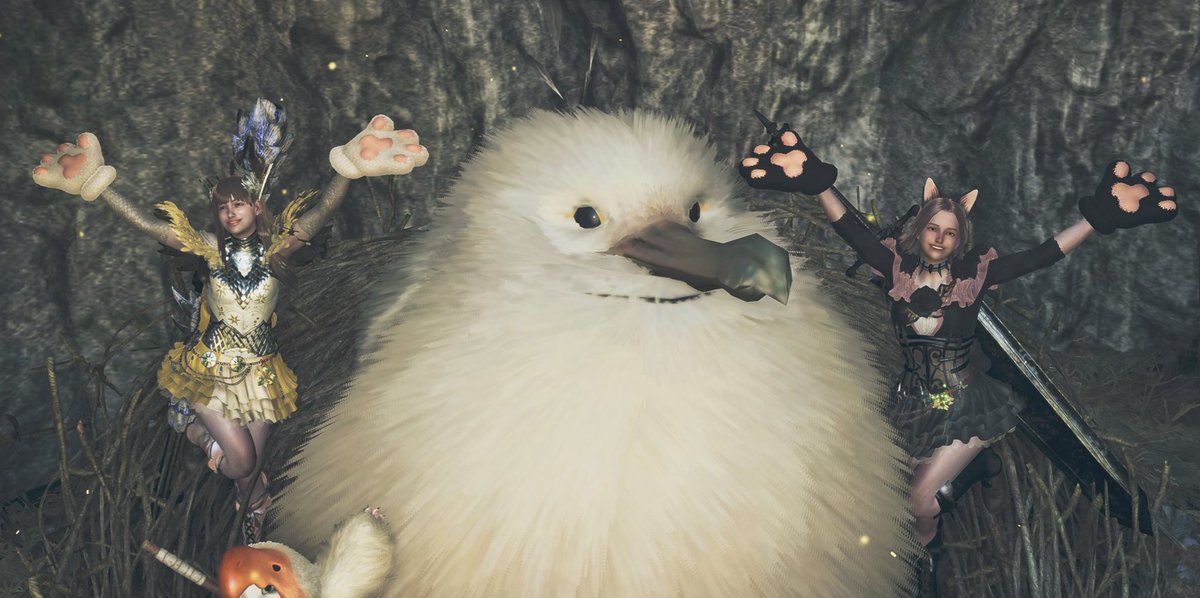 ムムチ🍳配信お休み中 tweet media