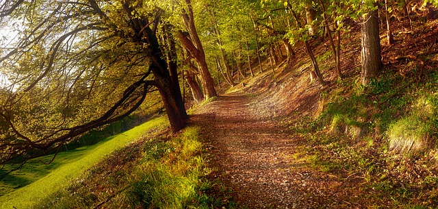 Sherri Anderson tweet media