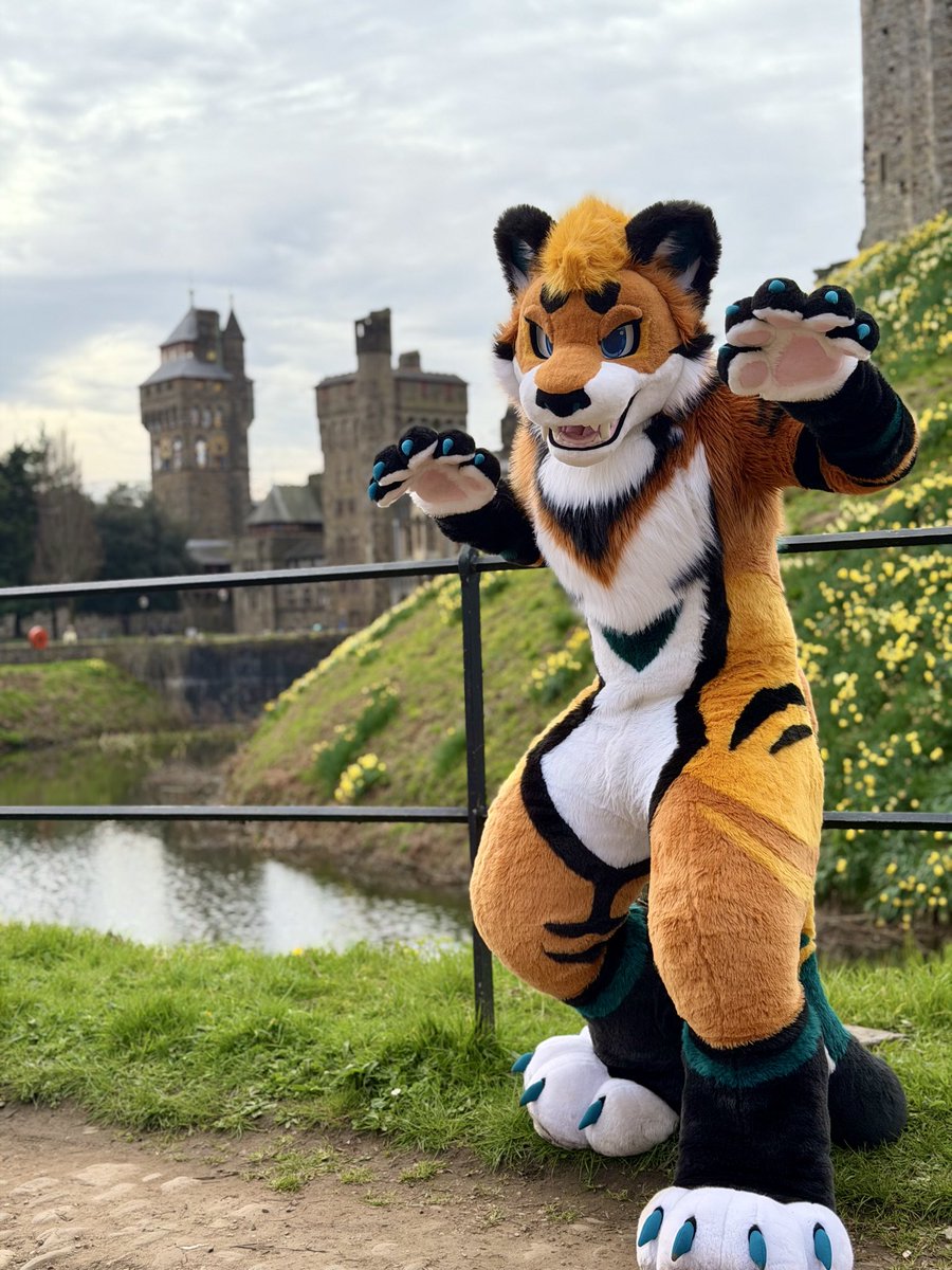 Cairo 🔜 ??? tweet media