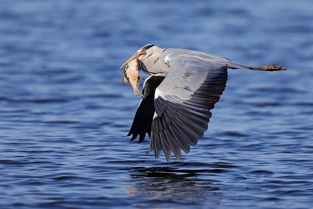 Joe Baker tweet media