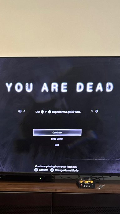 Nathalie Joe 𝓧𝓞 😺 tweet media