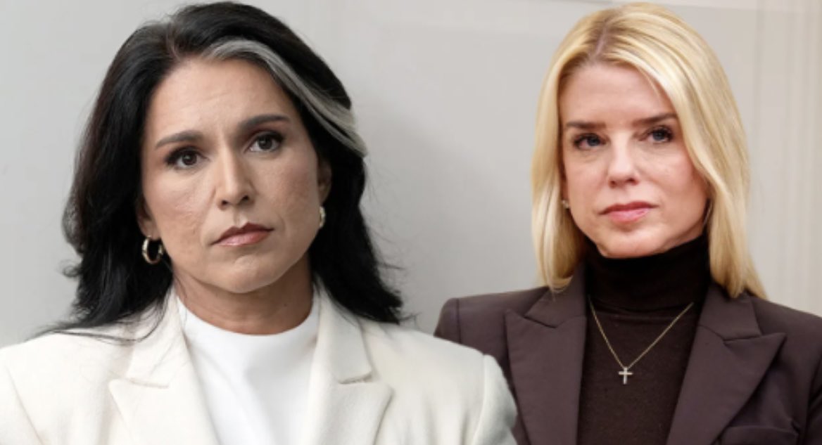 Jon Cooper 🇺🇸 tweet media