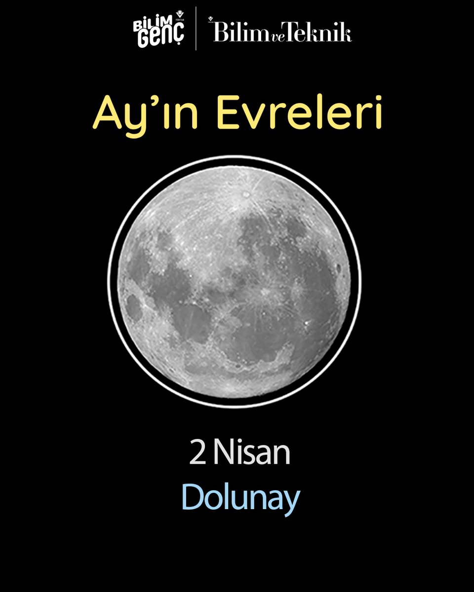 TÜBİTAK Bilim Genç tweet media