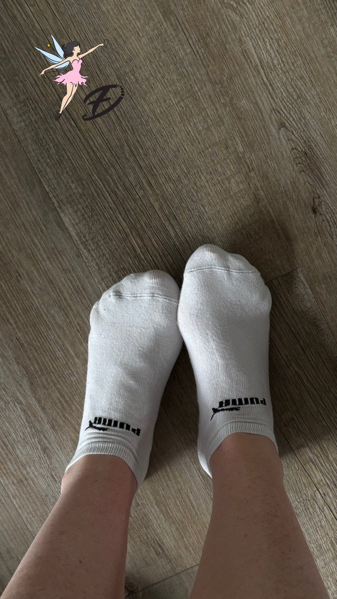 fairy-diary tweet media