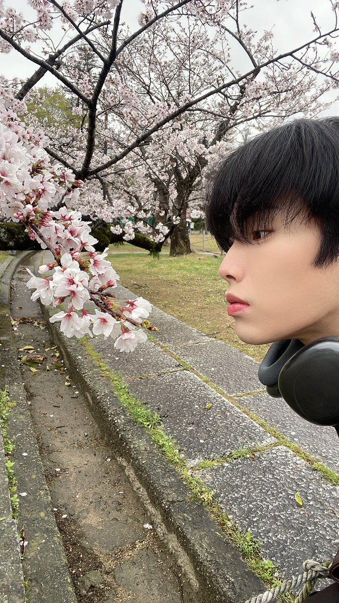 H_J_H1005's tweet photo. [#라이] 🦁
さくらい🌸🏯 https://t.co/ewZwwSmHmt