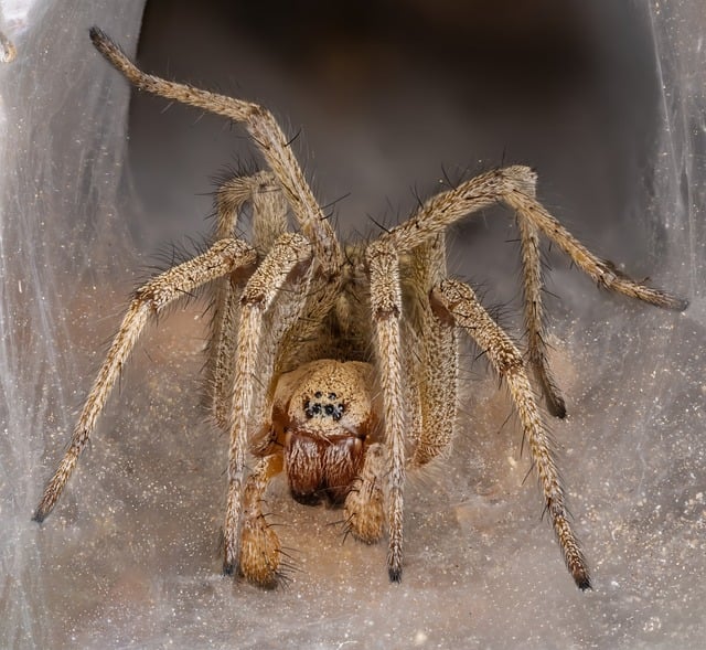 Mark Jaye tweet media