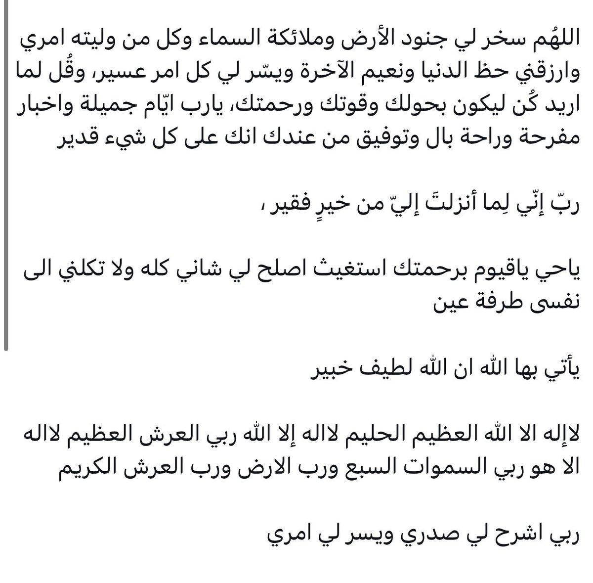 بشرى الشتيوني 🌿. tweet media