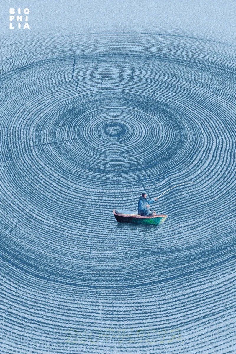 "Everything is a circular movement. Every heart-throb, every breath, every movement of the stars."
— Rumi