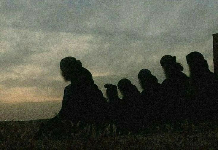 أم جنيد 🕷️ tweet media