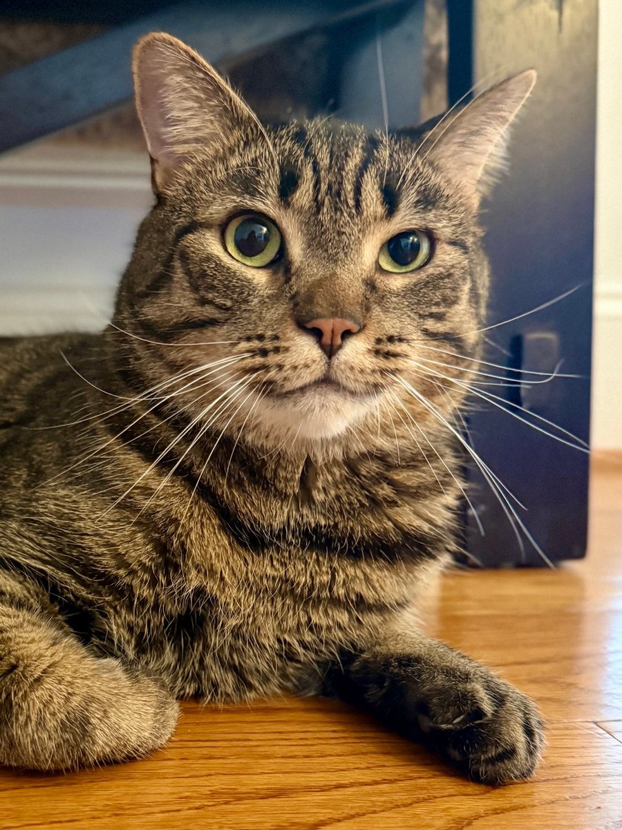 For the love of Missy. tweet media